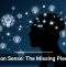 Common Sense: The Missing Piece in AI