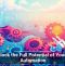 Unlock the Full Potential of Your IT Automation