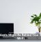 Houseplants Might Be Behind Your Sluggish Wi-Fi